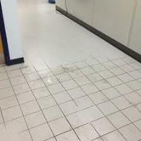 Tile and Grout Cleaning Hobart image 11